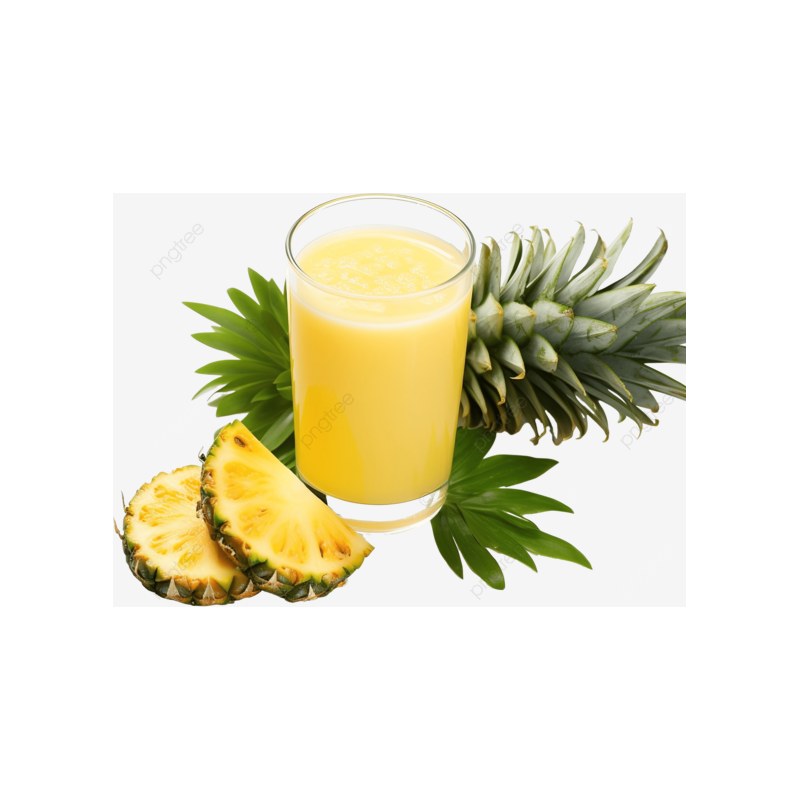 Suco de Abacaxi 300ml